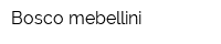 Bosco mebellini