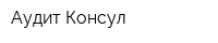 Аудит Консул