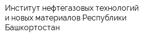 Институт нефтегазовых технологий и новых материалов Республики Башкортостан