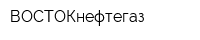 ВОСТОКнефтегаз