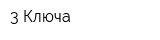 3 Ключа