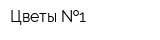 Цветы  1