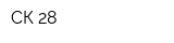 СК-28