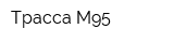Трасса М95
