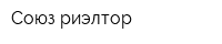 Союз-риэлтор