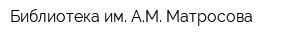 Библиотека им АМ Матросова