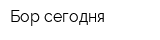 Бор сегодня