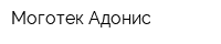 Моготек-Адонис