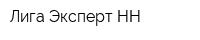 Лига-Эксперт НН