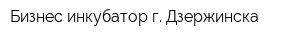Бизнес-инкубатор г Дзержинска
