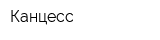 Канцесс