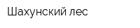Шахунский лес