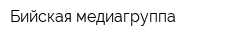 Бийская медиагруппа