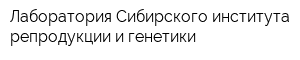 Лаборатория Сибирского института репродукции и генетики