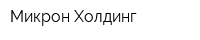 Микрон-Холдинг