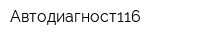 Автодиагност116
