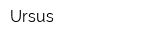 Ursus