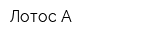 Лотос А