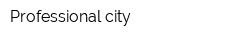Professional city