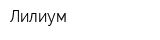 Лилиум