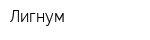 Лигнум