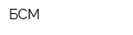 БСМ