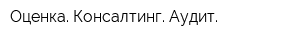 Оценка Консалтинг Аудит