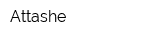 Attashe
