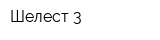 Шелест-3