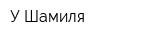 У Шамиля