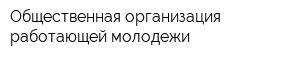 Общественная организация работающей молодежи