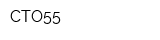 СТО55