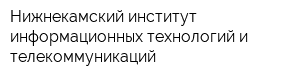 Нижнекамский институт информационных технологий и телекоммуникаций