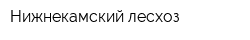 Нижнекамский лесхоз