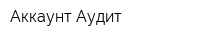 Аккаунт-Аудит