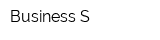 Business S