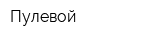 Пулевой