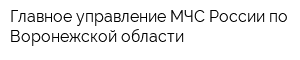 Главное управление МЧС России по Воронежской области