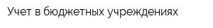 Учет в бюджетных учреждениях