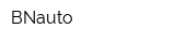 BNauto