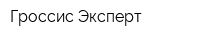 Гроссис Эксперт