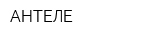 АНТЕЛЕ