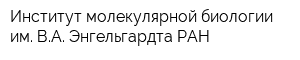 Институт молекулярной биологии им ВА Энгельгардта РАН
