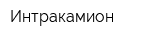 Интракамион