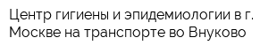 Центр гигиены и эпидемиологии в г Москве на транспорте во Внуково