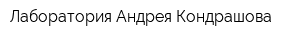 Лаборатория Андрея Кондрашова