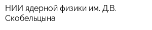 НИИ ядерной физики им ДВ Скобельцына