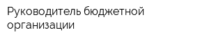 Руководитель бюджетной организации