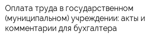 Оплата труда в государственном (муниципальном) учреждении: акты и комментарии для бухгалтера
