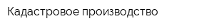 Кадастровое производство